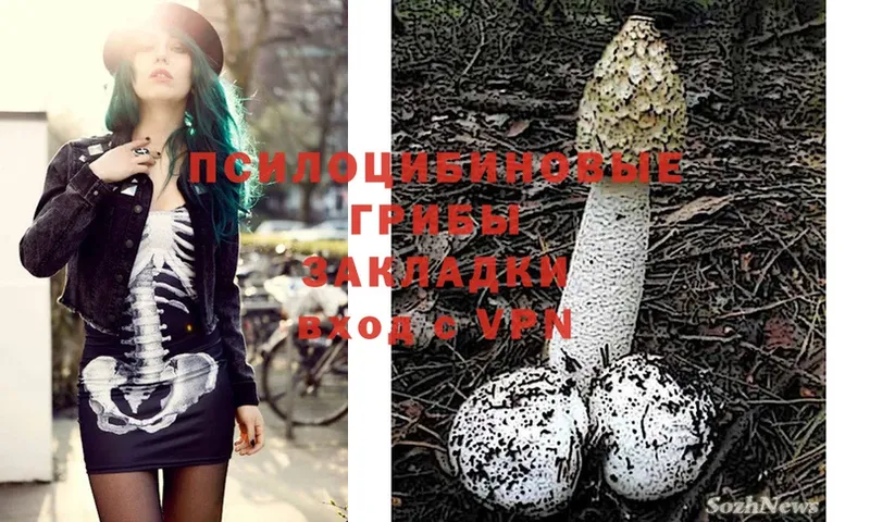 Галлюциногенные грибы Magic Shrooms  Палласовка 